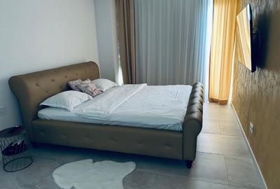 Penthouse  calea Torontalului - 11