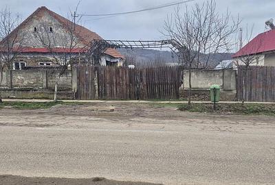 Casă cu 2 camere în Bogei - 10