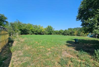 Casă cu 4 camere în Fulga - 8