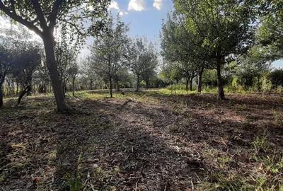 Gradina de vanzare intre Cristian si Orlat Gradina de vanzare intre Cristian si Orlat - 7