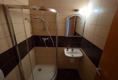 Apartament cu 3 camere decomandat în Drumul Carului - 3