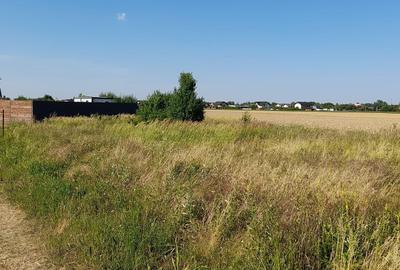 Teren în Ciorogârla - 6