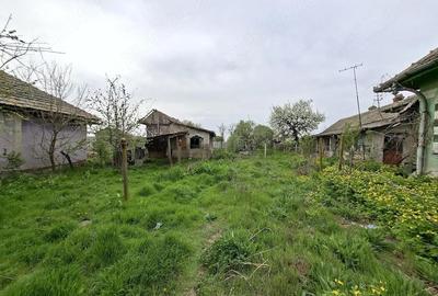 Casă cu 3 camere cu Teren 1230 Mp în Obârșia de Câmp - 9