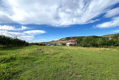 Teren Intravilan, 1055/ 527 Constructii, Centru Chinteni 21 Decembrie - 5