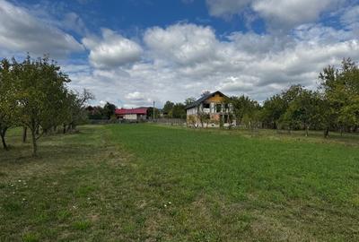 Teren intravilan construibil 4.149 mp, 28 m front – Ogretin (Drajna), utilități - 10