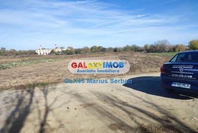 Vanzare teren extravilan Targoviste Vanzare teren extravilan Targoviste - 10