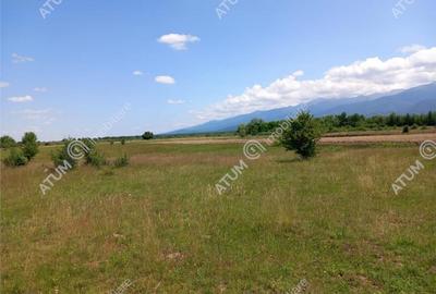 Teren de 5000 mp, în Avrig - 16