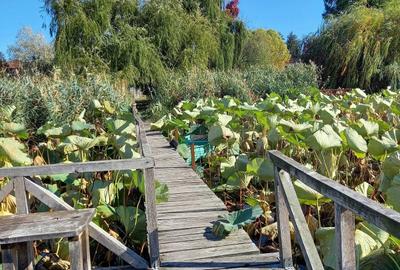 Vilă spațioasă de închiriat – Snagov, acces la lac și ponton - 2