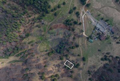 Teren Construcții intravilan de 1000 mp, în Poiana Brașov - 6