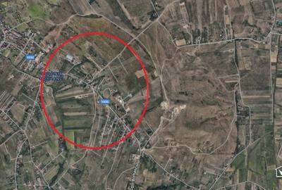 Teren cu PUZ in faza finala 11 unitati locative Borhanci - 2