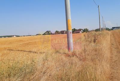 Teren Construcții intravilan de 2000 mp, în Brănești - 8