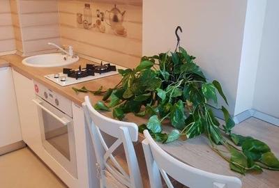 NOU Garsoniera Impecabila | Stefan Cel Mare Dorobanti Sector 2 - 9