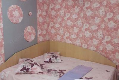 Apartament cu o camera Marasti - 2