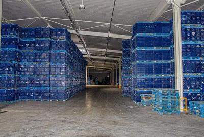 Spațiu comercial, de 5,400 mp, în Malu Mare - 3