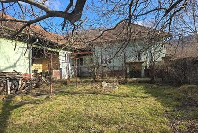 Casă cu 3 camere cu Teren 2500 Mp în Pietroasa - 1