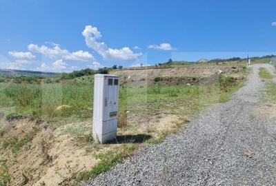 Teren, 1000 mp, Valea Fanatelor