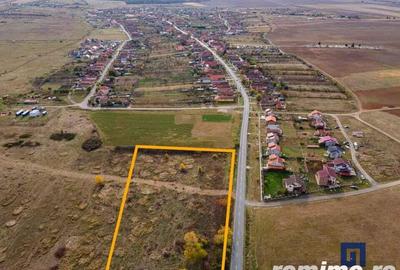 Teren de 19000 mp, în Pișchia - 3