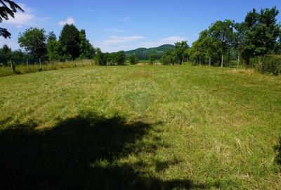 Casa / Vila cu 2 camere de vanzare - 3