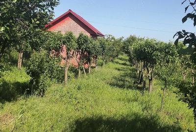 Teren de 1600 mp, în Potoceni - 2