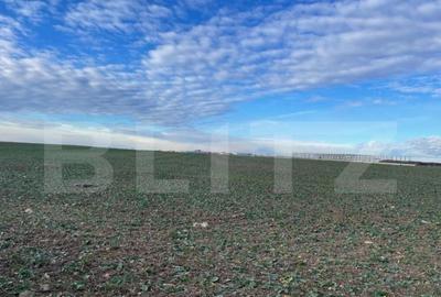 Teren intravilan industrial 44000 mp,deschidere 58,7 la stra - 1