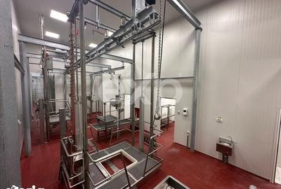 Teren de 105000 mp, în Singureni - 11