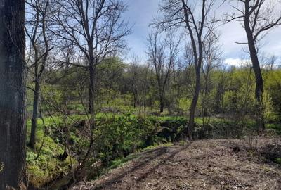 Teren 2900 m2, com. Salcuta, Jud. Dolj - 15