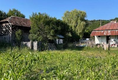 Casă cu 3 camere cu Teren 53 Mp în Ștrand - 1