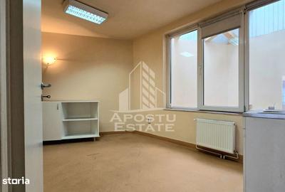 Spațiu comercial, de 250 mp, în Iosefin - 9