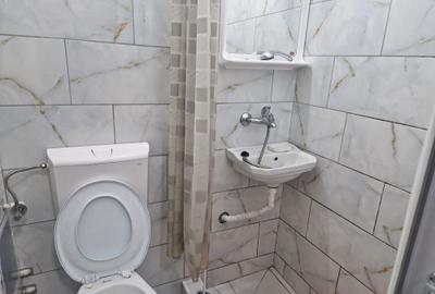 Garsonieră decomandată în Exterior Vest - 7