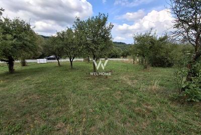De vânzare teren extravilan în Sibiel, jud. Sibiu - 3223 mp - 10