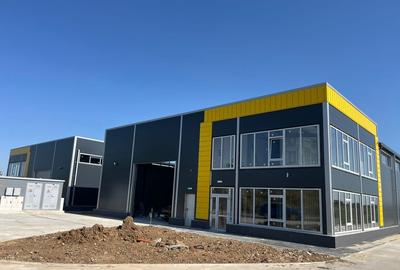 Zona Drumul intre Tarlale - hale noi - 600mp - 7