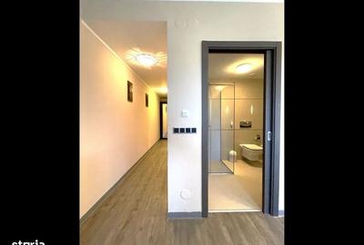 Apartament de Închiriat - Silver Mountain Resort - 4