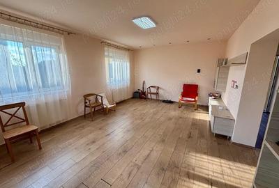 Casa Sinandrei Timis - 5