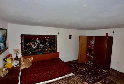 Casă cu 4 camere cu Teren 3100 Mp în Câmpuri - 3