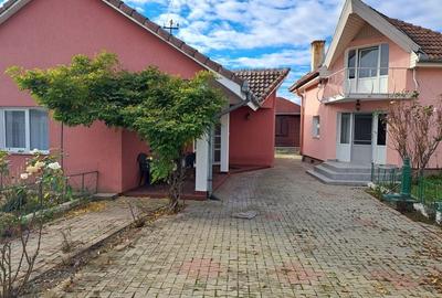 OFERTA! Proprietate 2 case + Cabană I Mobilat și utilat I Băcia, HD - 2