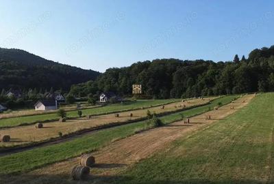 Teren 5886 mp In Bucovina - Bucsoaia! De Vanzare! 0727817187 - 3