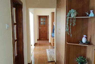 Apartament cu 4 camere semidecomandat în Micălaca - 9