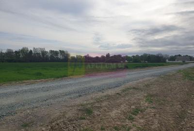 Teren Construcții intravilan de 7567 mp, în Sud - 10