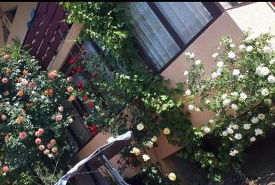 Casa / Vila ( P + E + Pod ) Zona Mitocul Dragomirnei - 6