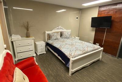 Apartament cu 1 camera, zona Tătărași - 2