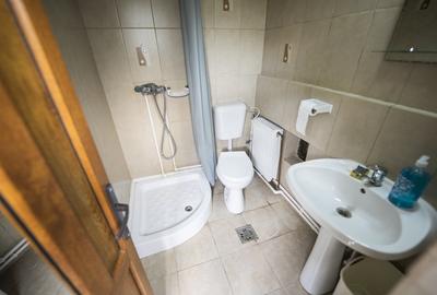 Casa P+1 multifunctionala, cu posibilitate inchiriere pe nivele - zona Podisor - 13