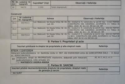 Teren intravilan 2100mp + casa + anexe 30.000 euro - 5