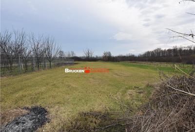 CASA | CENTRAL | MARGHITA - 10