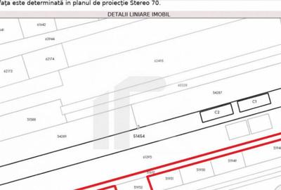 CIOLPANI Lot 500 MP - 2