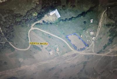 Teren Construcții extravilan de 2695 mp, în Exterior Est - 1