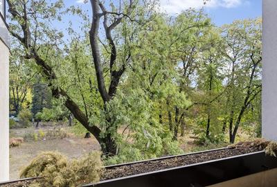 Apartament cu 7 camere decomandat, mobilat în Kiseleff - 22