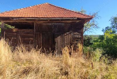 Casă în Târnăvița - 3