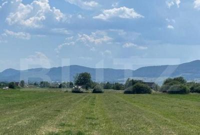 Oportunitate de investitie!! Teren extravilan,4000 mp, Vicov - 5