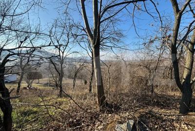 Teren de 17700 mp, în Central - 3