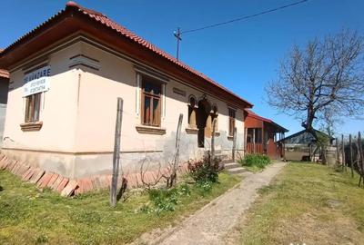 Casă cu 5 camere cu Teren 1250 Mp în Ciupercenii Noi - 2
